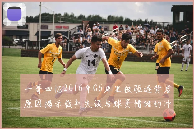一哥回忆2016年G6库里被驱逐背后原因揭示裁判失误与球员情绪的冲突